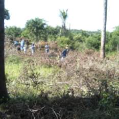 2013 Agricultural project